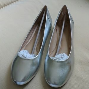 Silver slippers